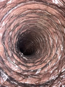 96.39723e3a5ed913ffaa2a-225x300