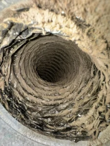 97.ebbc55d554ea53be69fd-225x300