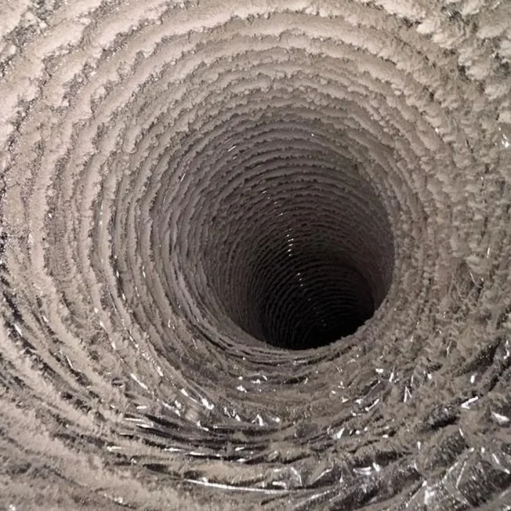 23.8fc7bcfc4c4c301249cc